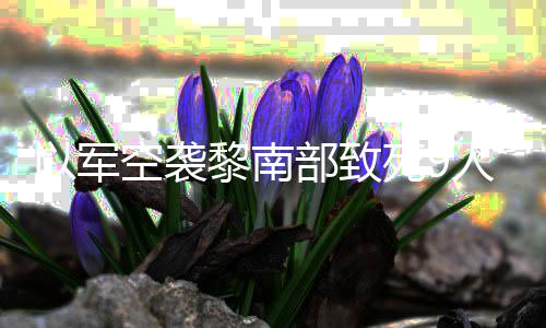 部致党用真主机和黎南无人人 以军火炮回击空袭死9